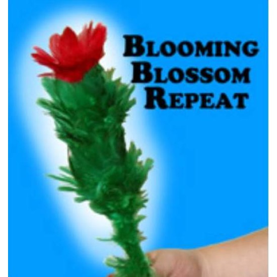 Blooming Blossom Repeat