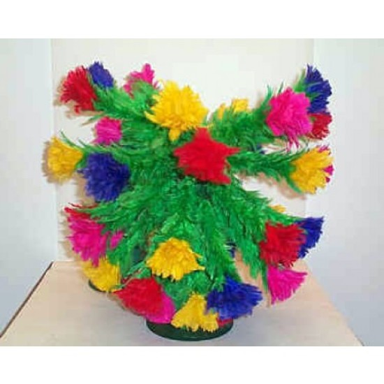 BOTANIA MULTICOLOR