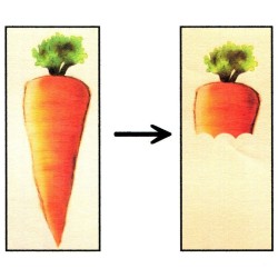 CARROT CULPRIT