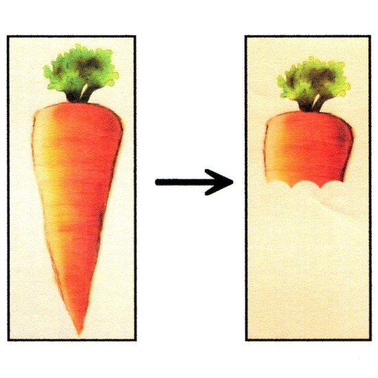 CARROT CULPRIT