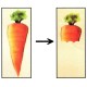 CARROT CULPRIT