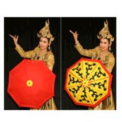 COLOR CHANGING UMBRELLA