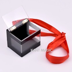 Crystal Switch Box