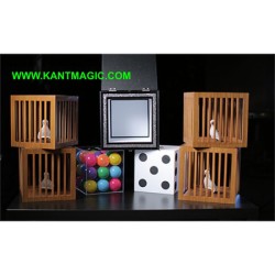 DICE TO CRYSTAL CUBE TO 4 CAGES - IM