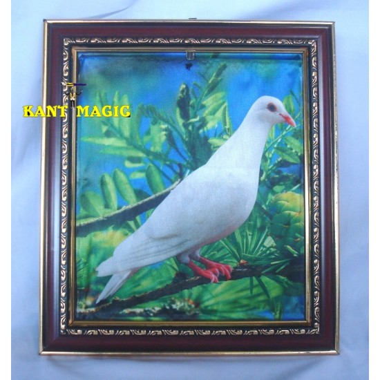 DOVE FRAME by KANT