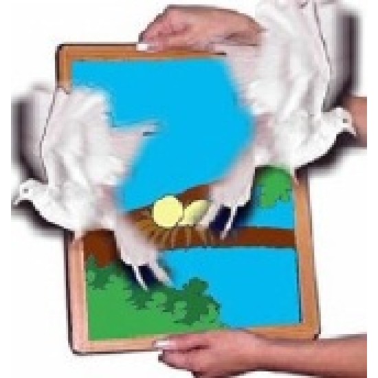 DOVE FRAME