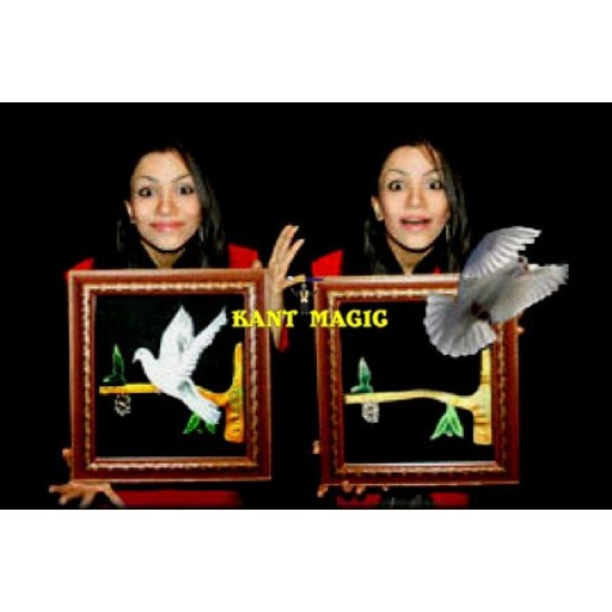 DOVE PICTURE TO REAL DOVE - INDIAN