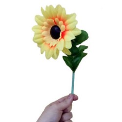 DROOPING SUNFLOWER