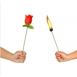 AUTOMATIC TORCH TO ROSE