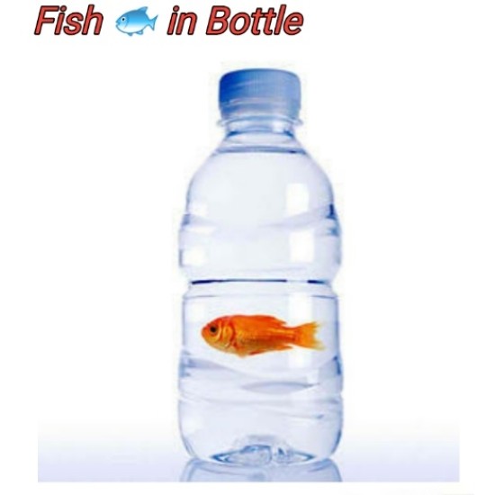 Fish in a Bottle