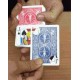 KARATE CARD
