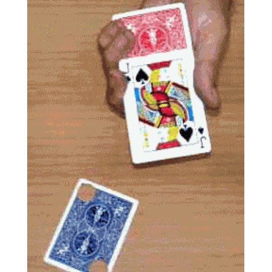 KARATE CARD