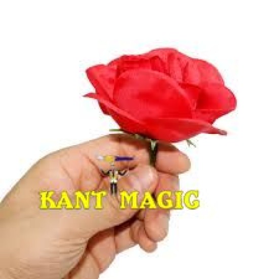 MATCH TO ROSE