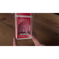 Miracle Box by Alexander Shulyatsky (DRM Protected Video Download