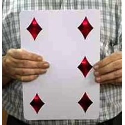 PIP CARD JUMBO - MAGNETIC BY KANT