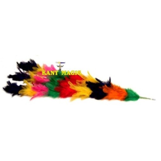 PLUMES FOR VANISHING CANE
