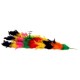 PLUMES FOR VANISHING CANE