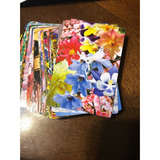 Rainbow Deck