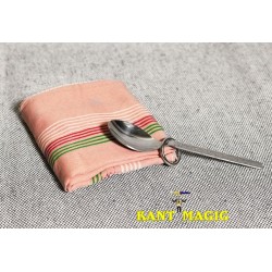 Ring Off Spoon by Mr. Magic - Trick