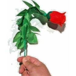 Silk To Rose Plus