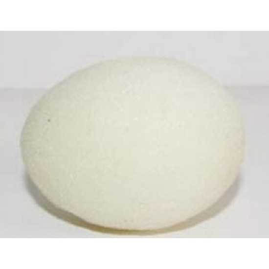 SPONGE EGG