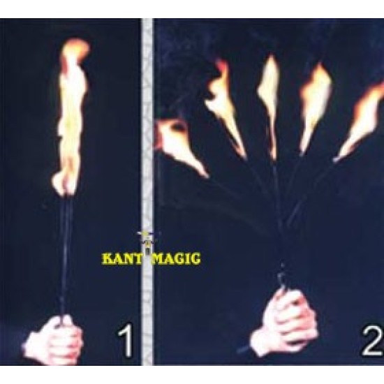 TORCH OF FIRE TO FIVE TO CANE - Torch Only