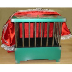 TRANSFORMATION CAGE